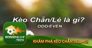 Khám phá kèo chẵn lẻ là gì